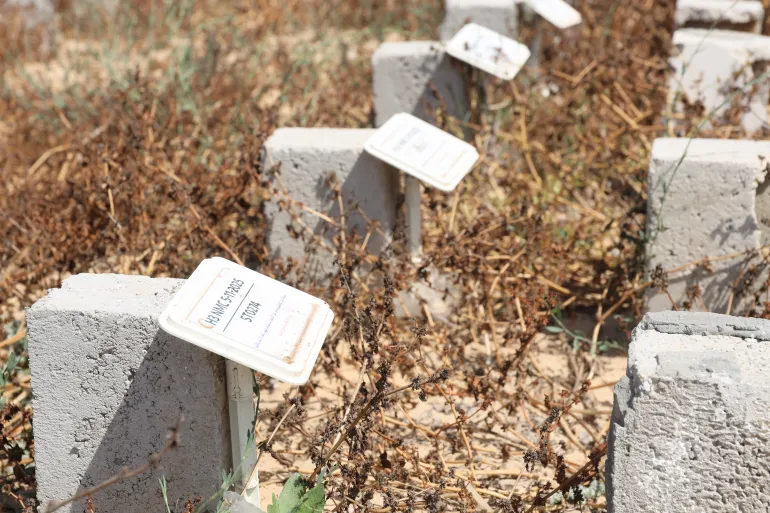 Officials assign identification codes to unmarked graves in Deir el-Balah's emergency cemetery.