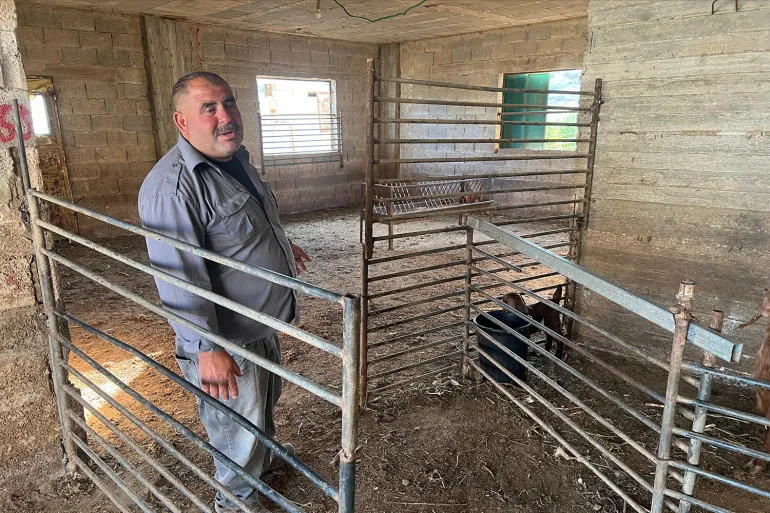 Zuhair Abu Sha'ar stands amid losses after Israeli settlers stole his livestock in the occupied West Bank.