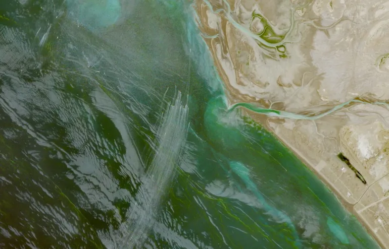 Satellite image shows Iranian fleet of small boats near Strait of Hormuz as naval standoff intensifies.